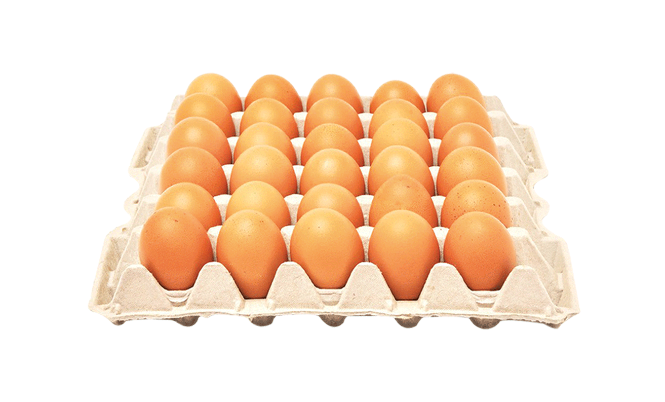 ЈАЈЦА КАМКО М-КЛАСА 30/1