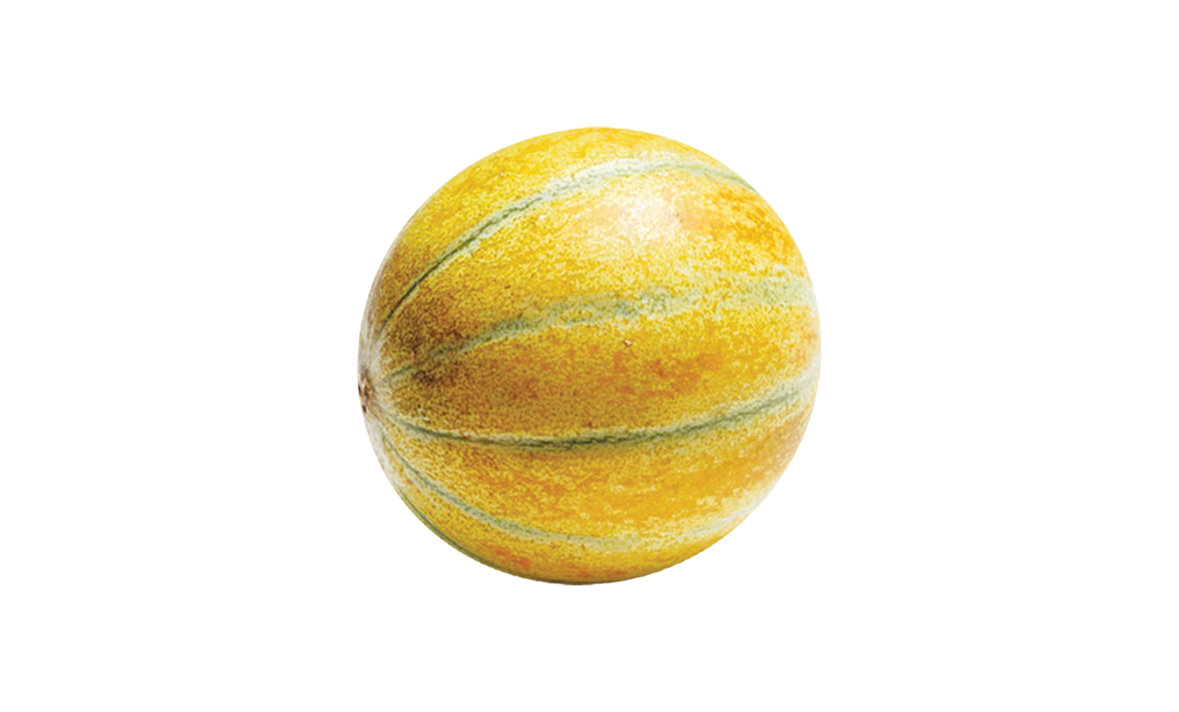 ДИЊА РУСКИ АНАНАС