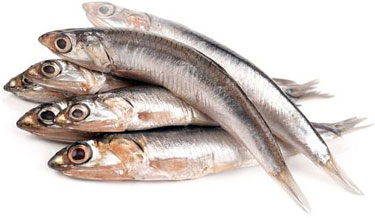 МЕТРО ИНЧУН ФИЛЕТИ СОЛЕНИ ВО СОНЧОГЛЕДОВО МАСЛО