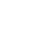BOVIN