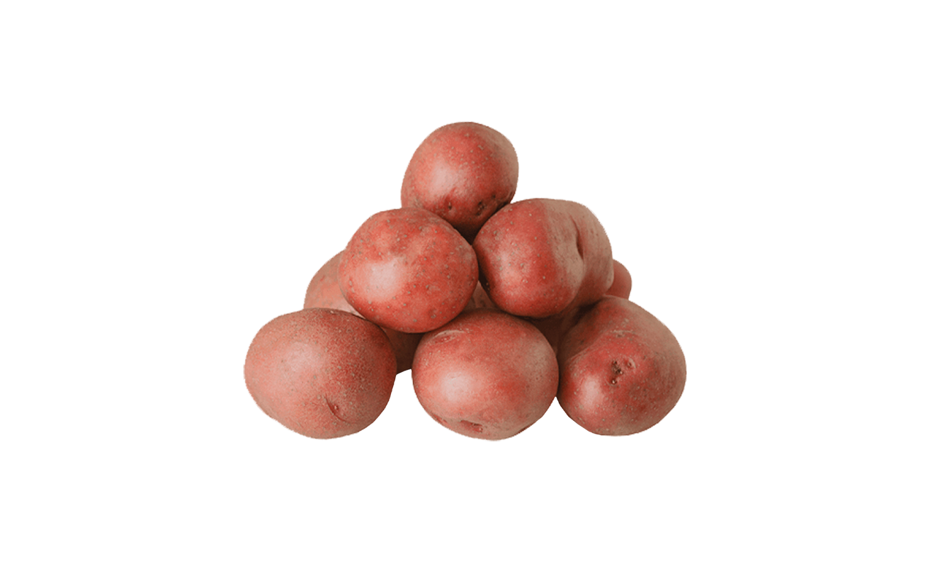 КОМПИР ЦРВЕН КГ. (Р)