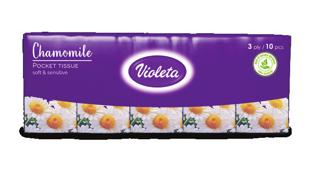 МАРАМЧИЊА ВИОЛЕТА КАМИЛИЦА 10/1 3СЛ