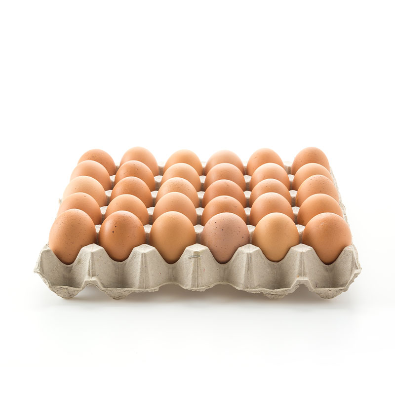 СУПЕР ЈАЈЦЕ 30/1 С КЛАСА