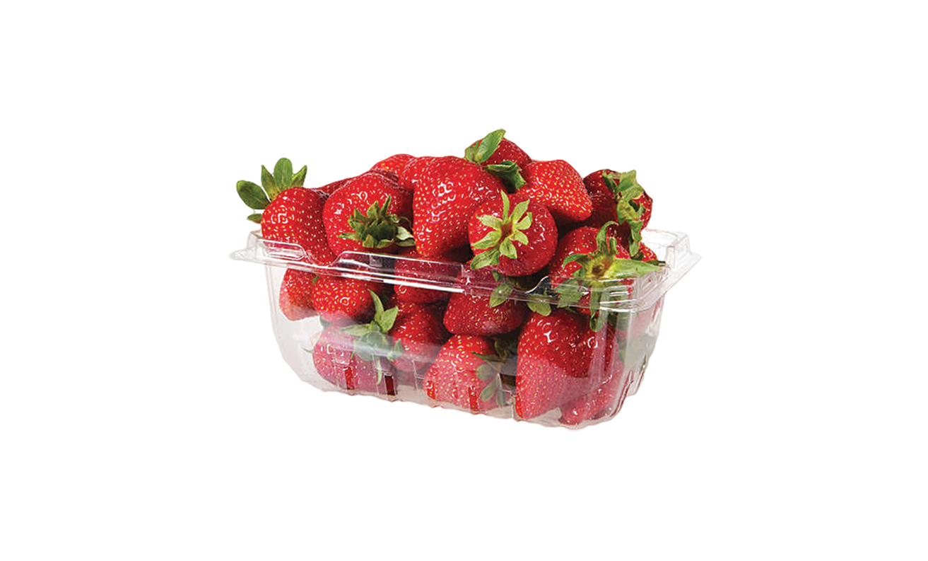 ЈАГОДИ КАНЧЕ