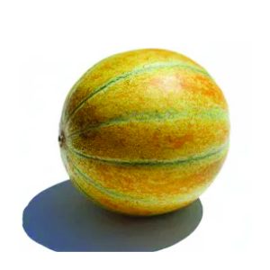 ДИЊА РУСКИ АНАНАС