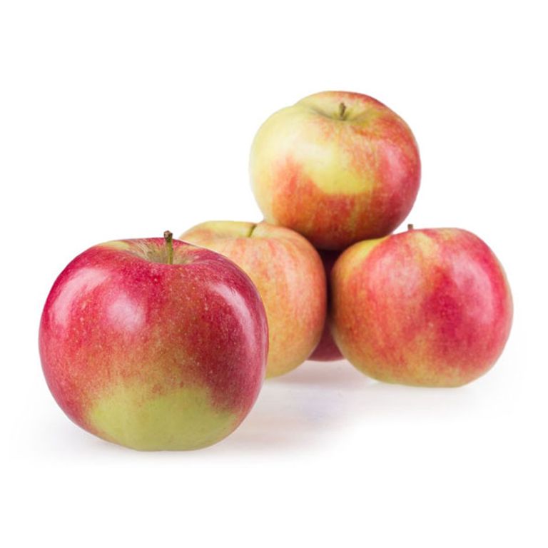 ЈАБОЛКИ АЈДАРЕТ