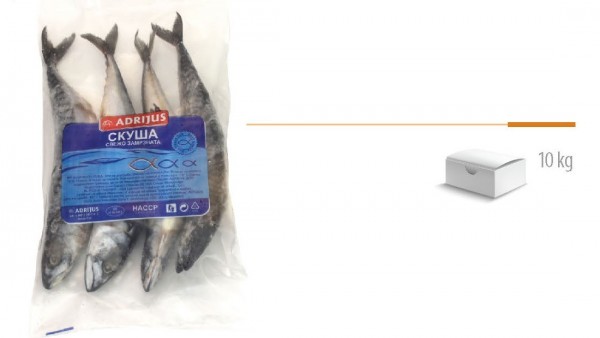 РИБА СКУША АДРИЈУС 200-400 ГР