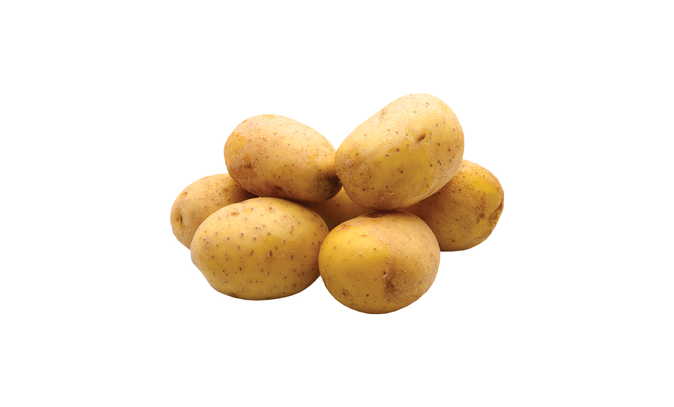 КОМПИР МЛАД